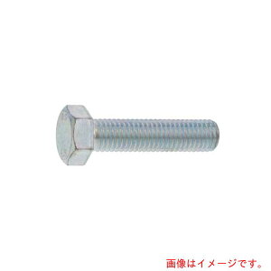 サンコーインダストリー(SUNCO) ユニクロ 六角ボルト(全ネジ  10X100 (6本入り) 【品番:B0-00-0000-0100-1000-01-6P】