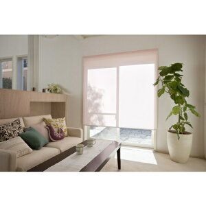 ����@�H�@�e�B�I���I�@���[���X�N���[���@�Ռ�2���@�u���E���@900X2200�@�y�i�ԁFTR-503 900X2200�z