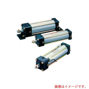 Parker TAIYO�@��C���V�����_�@�y�i�ԁF10A-2RSD100B50-AH2�z