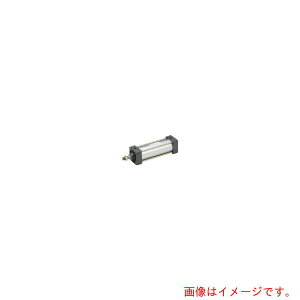 Parker TAIYO�@��C���V�����_�@�y�i�ԁF10A-6LA80B100�z