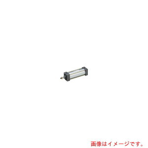 Parker TAIYO�@��C���V�����_�@�����`�Ѓ��b�h�@��{�`�@�y�i�ԁF10A-6SD100B200-AA�z