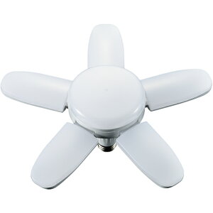 ViTAKAGIj@BLACK@瓔PROp֋LL45@yiԁFLL45z