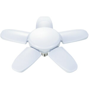 ViTAKAGIj@BLACK@瓔PROp֋LL70@yiԁFLL70z