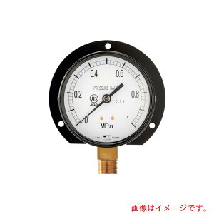 �����v��@�v���X�`�b�N���͌v�iB�g���^�E��100�j���̓����W0�D0�`10MPa�@G3�^8�y1229210�z�@�y�i�ԁF1229210�z