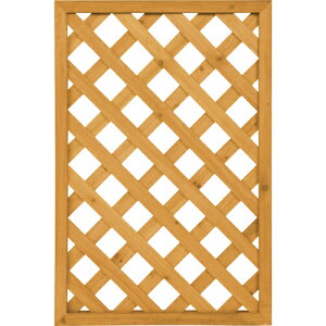 ^JV[iTakashoj@tFX@GRhK[feBX@i`@600×900@yiԁFEWO-43Nz