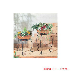 ^JV[iTakashoj@|pi@eRb^pX^h@J[O@FS@yiԁFNPM-55VSz