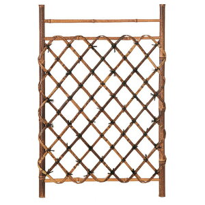 ^JV[iTakashoj@a@뉀pi@GRh@Ւ|}܌ˁ@70cm@yiԁFTO-02z