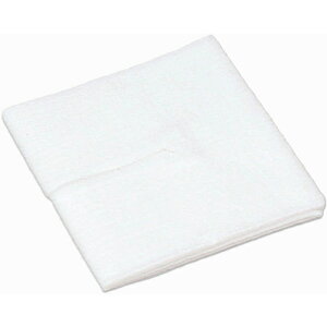 |ՁiTaketoraj@g[O@P1@100×3@yiԁF010831z