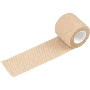 |ՁiTaketoraj@с@s^bƃ^C@5D0cm×4D5miLj@yiԁF021506z