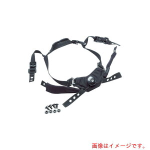 Team Wendy�@�J���t�B�b�g���e���V�����@FG�@XL�iLED�j�@�y�i�ԁF21-B12-LED�z