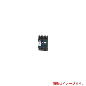 �e���p�[���H�Ɓ@�z���p�Ւf��F�o�σ^�C�v�@�y�i�ԁFB33MEC150F�z