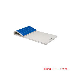 �g�[�G�C���C�g�iTL�j�@�R���r�l�[�V�����}�b�g�@120×240×6cm�@�y�i�ԁFT1275�z