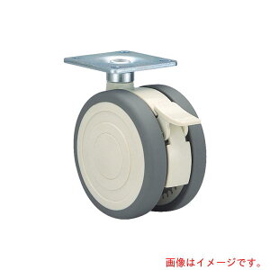 ���C�L���X�^�[�@�G���X�g�}�[�ԗց@100�a�@�y�i�ԁFTEC100N16WSL-25�z