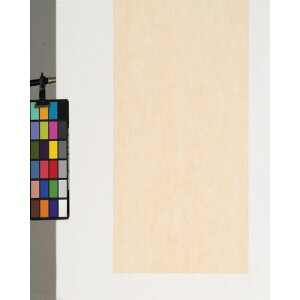 �������f�B�J���@�s�D�z�V�[�g�@100������@�x�[�W���@75�p�@�y�i�ԁFFUBE-75�z