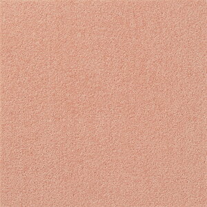 @t@ubNtA A^bN270 LoXt@C 10@s[`@yiԁFAK2709z