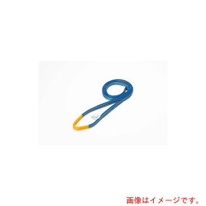 �����C���^�[�i�V���i���@�V���C�@�x���g�X�����O�@�V�O�i���X�����O�m�mR��n�nHG�@�G�R�}�[�N�F�؏��i�@SGE4N�@�G���h���X�`�@200mm��×����2�D5m�@�y�i�ԁFSGE4N-200X2.50�z