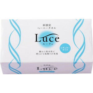 g[itoyoj@[`F150g42R@yiԁF241130z