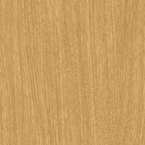 �y�ʓr��������z�g���[�h�@sign�@city�@�_�C�m�b�N�@�h���C�E�b�h�@DW�|1901MT�@�`�F���[�@���ځ@1220mmx50m�@�y�i�ԁF6300043098�z