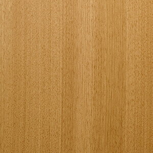 �y�ʓr��������z�g���[�h�@sign�@city�@�_�C�m�b�N�@�t�@�C���E�b�h�@FW�|1283�@�`�F���[�@���ځ@1220mmx1m�@�y�i�ԁF6300043346�z