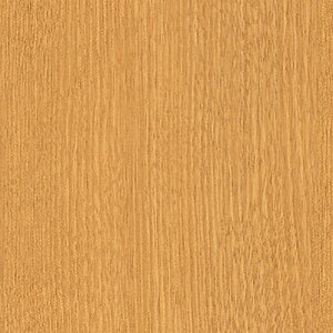 �y�ʓr��������z�g���[�h�@sign�@city�@�_�C�m�b�N�@�t�@�C���E�b�h�@FW�|234�@�`�F���[�@���ځ@1220mmx50m�@�y�i�ԁF6300043349�z