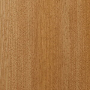 �y�ʓr��������z�g���[�h�@sign�@city�@�_�C�m�b�N�@�t�@�C���E�b�h�@FW�|1737�@�`�F���[�@���ځ@1220mmx1m�@�y�i�ԁF6300043358�z