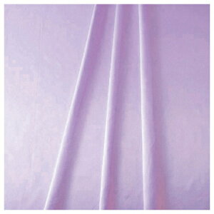 g[h@sign@city@NԃfR[V@Ten@Cgp[v@900mm×2m@TE8|9045LP@yiԁF6300053117z