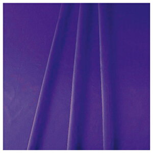 g[h@sign@city@NԃfR[V@hTen@p[v@750mm×2m@TE8|9077PU@yiԁF6300053145z