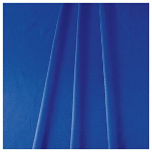 g[h@sign@city@NԃfR[V@hTen@Cu[@750mm×2m@TE8|9077RB@yiԁF6300053146z