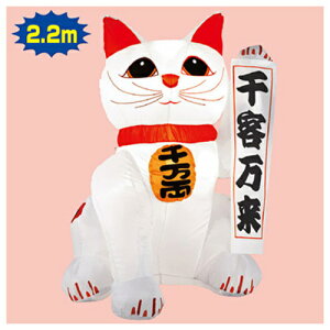 yʓrzg[h@sign@city@fR[V@GAu[@L@TE7|4035@yiԁF6300053493z