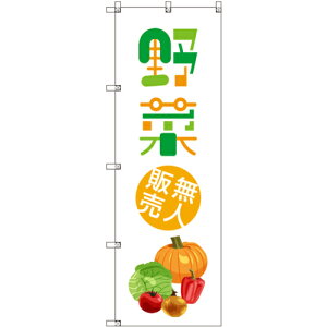 g[h@sign@city@IWîڂ@ؖl̔01@5Zbg@yiԁF6300057515z