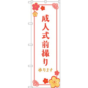 �y�ʓr��������z�g���[�h�@sign�@city�@�̂ڂ���@���l���O�B��@�~�@No�DGNB�|4060�@W600×H1800�@�y�i�ԁF6300013614�z