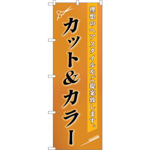 g[h@sign@city@̂ڂ@JbgJ[@NoDGNB|503@W600×H1800@yiԁF6300014876z