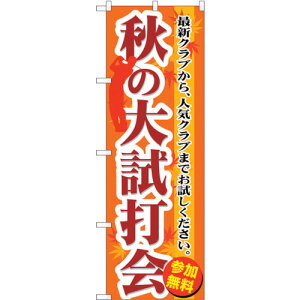 �g���[�h�@sign�@city�@�̂ڂ���@�H�̑厎�ŉ�@No�DGNB�|552�@W600×H1800�@�y�i�ԁF6300014929�z