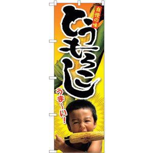 �y���[���֑Ή��z�g���[�h�@sign�@city�@�̂ڂ���@�g�E�����R�V�@�q���ʐ^�@1�l�@No�DSNB�|2200�@W600×H1800�@�y�i�ԁF6300016304�z