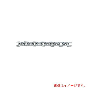 �g���X�R���R�iTRUSCO�j�@TRUSCO�@JIS�@F2106����K�i�����@�����O�����N�`�F�[���@�X�`�[���@�h�u���b�L�@���a6mm×����2�D1M�`3�D0M�@�y�i�ԁFTIC-6-LG-D-3C�z