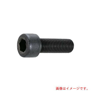 ネジ M16 六角穴付ボルト の人気商品一覧・価格比較 - 価格 com