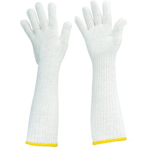 gXRRiTRUSCOj@Ђ܂ŃOR 10o@yiԁFTLLGz