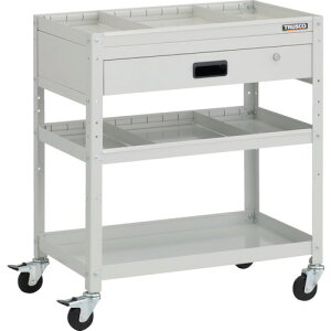 �g���X�R���R�iTRUSCO�j�@TRUSCO�@�c�[�����S���@���r�b�g���S���@700X450XH810�@1�i���o�@�d�ؔ�2�i�t�@�S���ԗց@�z���C�g�@�y�i�ԁFRBW-873S2V-W�z