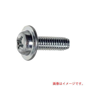 �g���X�R���R�iTRUSCO�j�@TRUSCO�@�i�{�j�i�x���b�V���[�w�b�h��g���N�˂��@S�^�C�v�@�O�����@WH��8�@M3×6�@1000�{���@�w�L�T�S���p�b�N�@�y�i�ԁFS051-0306�z