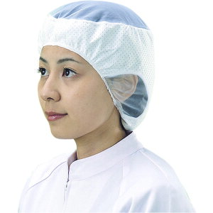 �F�s�{����@�V���K�[�@�d�ΖXSR�|2�@L�i20�����j�@�y�i�ԁFSR-2L�z