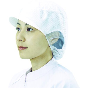 �F�s�{����@�V���K�[�@�V���K�[�d�ΖXSR�|5�@�����i20�����j�@�y�i�ԁFSR-5LONG�z