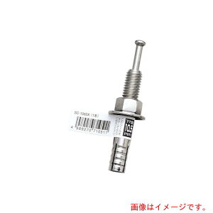 ユニカ(unika) ルーティアンカー ステンレス SCタイプ(バラ) SC−1060X 【品番:SC-1060X】