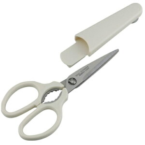 y[֑ΉzatCY@@傢~jLb`΂݁iz_[tj@yiԁFKR-8267z