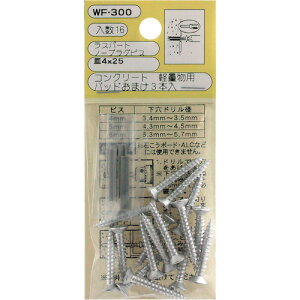 y[֑ΉzaCYƁiWAKIj@m[vOrXM@WF|300@4X25@16@yiԁFWF-300z