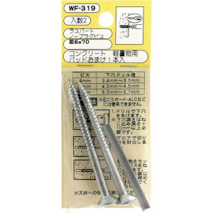 y[֑ΉzaCYƁiWAKIj@m[vOrXM@WF|319@6x70@2@yiԁFWF-319z