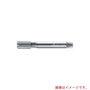 �����^�[�W���p���iWALTER�j�@Prototyp�@�}�V���^�b�v�@�y�i�ԁF21361-M4X0.5�z