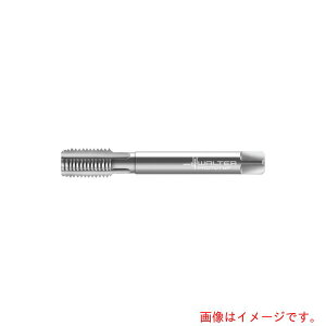 �����^�[�W���p���iWALTER�j�@Prototyp�@�}�V���^�b�v�@�y�i�ԁF21368-M4X0.5�z