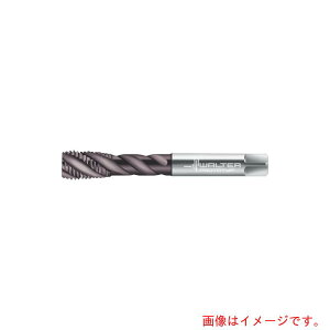 �����^�[�W���p���iWALTER�j�@Prototyp�@�}�V���^�b�v�@�y�i�ԁFEP2456302-G1/2�z