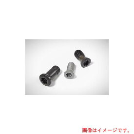 ワルタージャパン（WALTER）　Walter　ヘッド付きスクリュー　【品番：FS946】