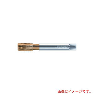 �����^�[�W���p���iWALTER�j�@Prototyp�@�}�V���^�b�v�@�y�i�ԁFP21360-M40X1.5�z